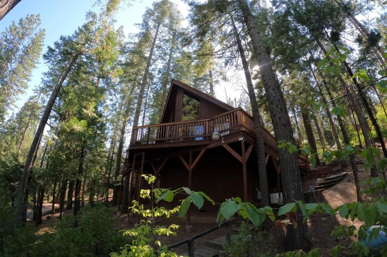 Beautiful Cabingated Parkpinecrest & Dodge Ridge Villa Long Barn Ngoại thất bức ảnh
